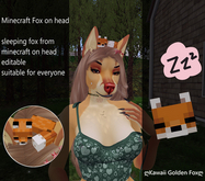 Minecraft Fox on head ginger