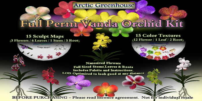 [AG] Full Perm Vanda Orchid Kit