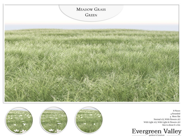 Meadow Grass Green