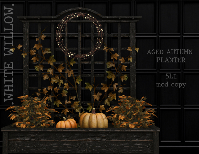 White Willow. Aged Autumn Planter Box 