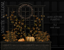 White Willow. Aged Autumn Planter Box 
