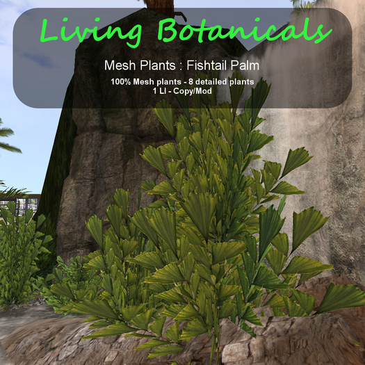 Inochi Botanicals - Mesh Plant "Fishtail Palm"
