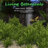 Inochi Botanicals - Mesh Plant "Shrub A"