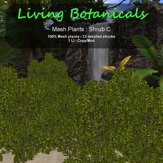 Inochi Botanicals - Mesh Plant "Shrub C"
