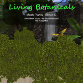 Inochi Botanicals - Mesh Plant "Shrub C"
