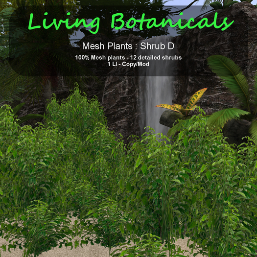 Inochi Botanicals - Mesh Plant "Shrub D"