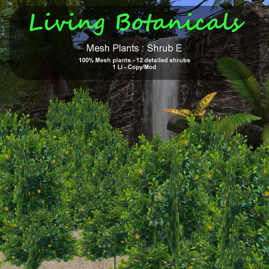 Inochi Botanicals - Mesh Plant "Shrub E"