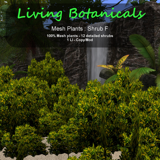 Inochi Botanicals - Mesh Plant "Shrub F"