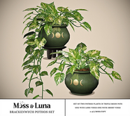 Moss & Luna- Brackenwych Pothos Set (add)