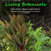 Inochi Botanicals - Jungle Edging K