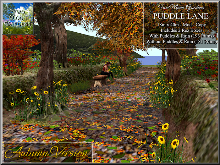 Puddle Lane Garden