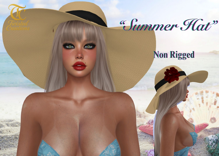 TC - Summer Floppy Hat
