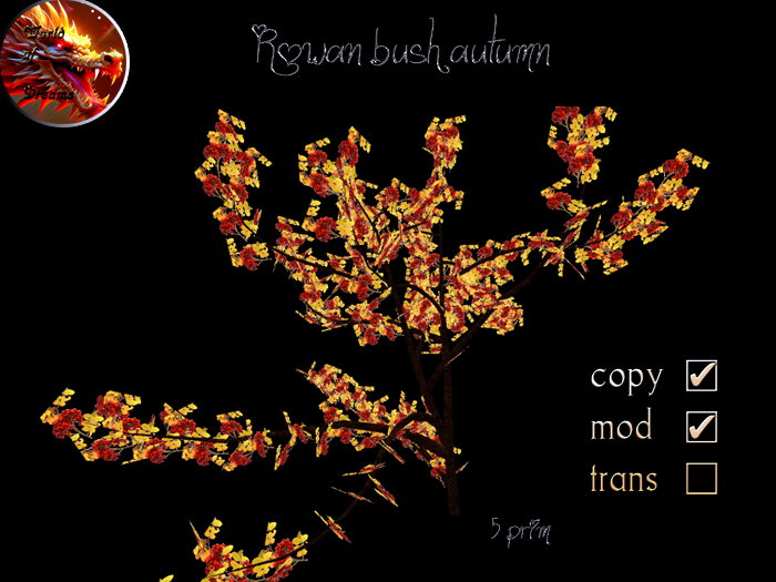Rowan bush autumn
