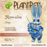 PlantPet Seed [Romulea *Skye*]