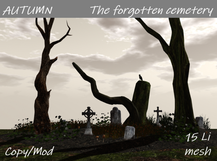 AUTUMN Forgotten cemetery