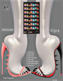 : A75 : Litlle Aria Heels With Hud Fatpack