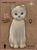 KittyCatS Box - Pandie - Fawn Female