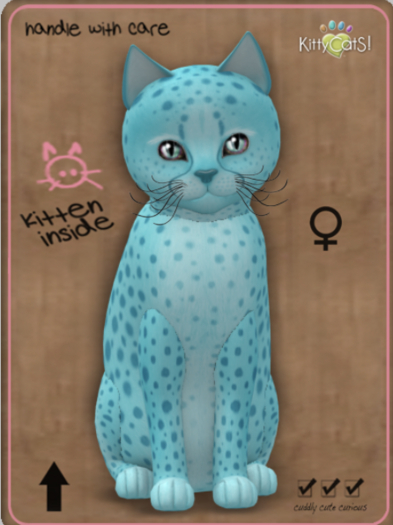 KittyCatS Box - Cheetah! - Blue Raspberry No. 2 Female