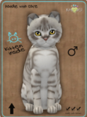 KittyCatS Box - Australian Mist - Blue Marble Male