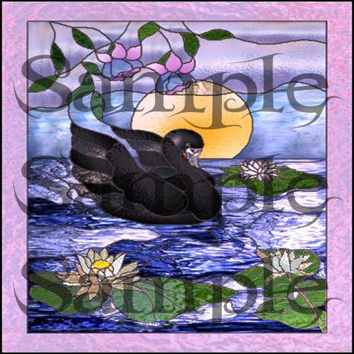 Stained Glass Texture  Black Swan