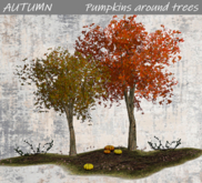 AUTUMN Pumpkins around trees