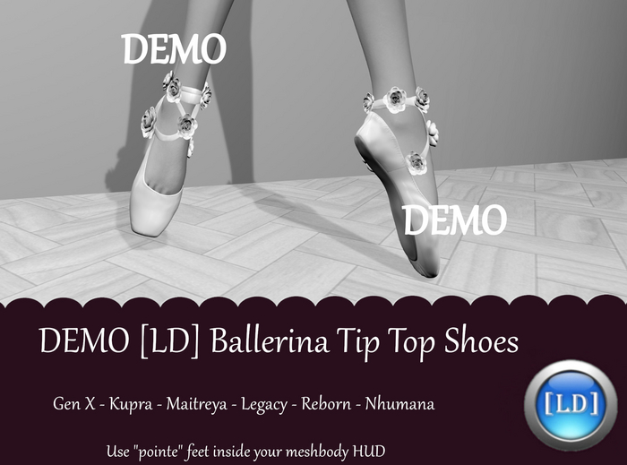 DEMO [LD] Ballerina Tip Toe Shoes