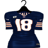 Melange: Football Jersey Dress [Bears]