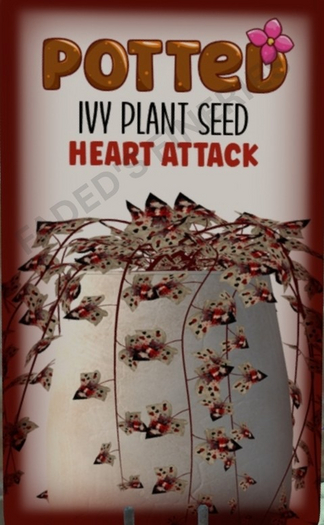 Potted: Ivy Seed: Heart Attack