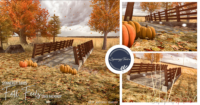 SYNNERGY.TAVIS//Fall Feels {360} Backdrop