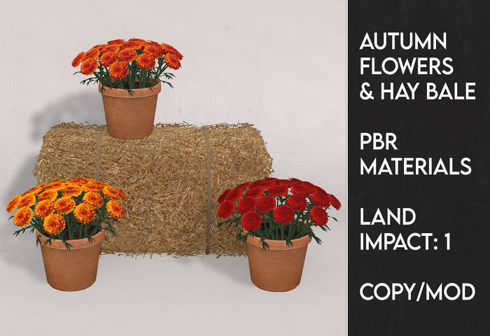 Autumn Flowers & Hay