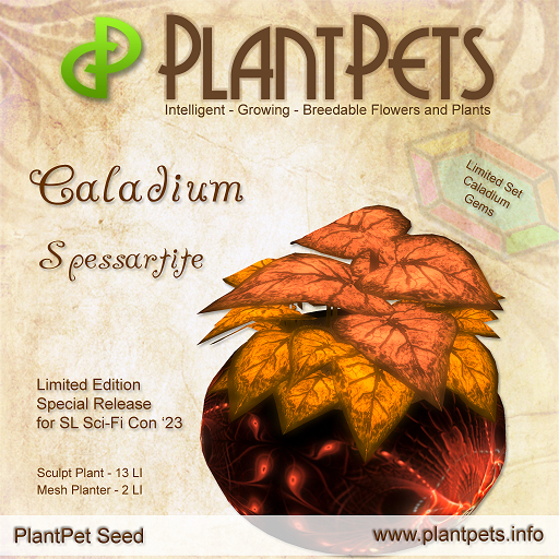 PlantPet Seed [Caladium *Spessartite*] LIMITED