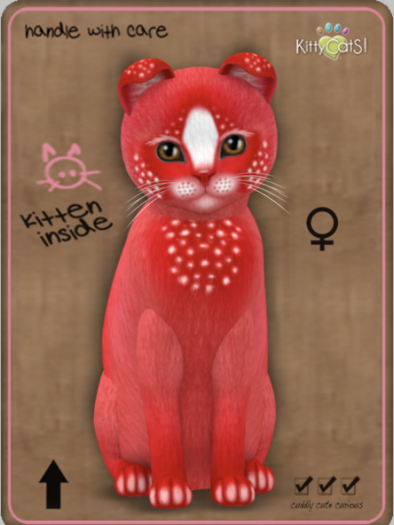 KittyCatS Box - Confetti - CherryBerry Female