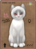 KittyCatS Box - Snowshoe - Lilac Female