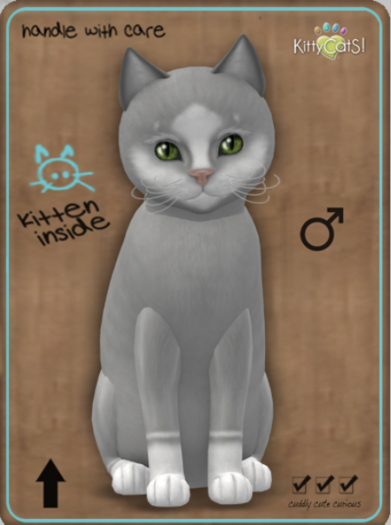 KittyCatS Box -  Genesis - Diamond IV Male
