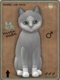 KittyCatS Box -  Genesis - Diamond IV Male