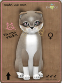 KittyCatS Box -  Foxie - Cocoa Cream Female
