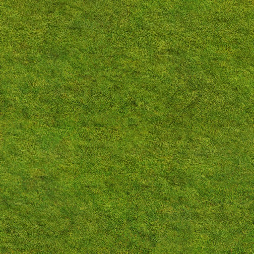 Flra:Grs: AF_Grass