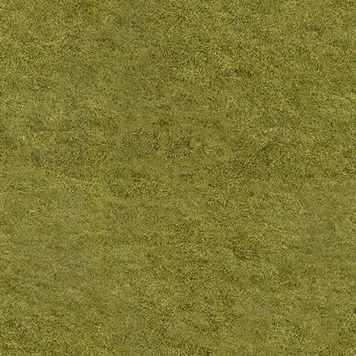 Flra:Grs: AF_grass_dry