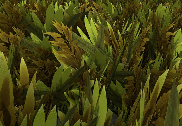 Mesh Seaweed 10x10