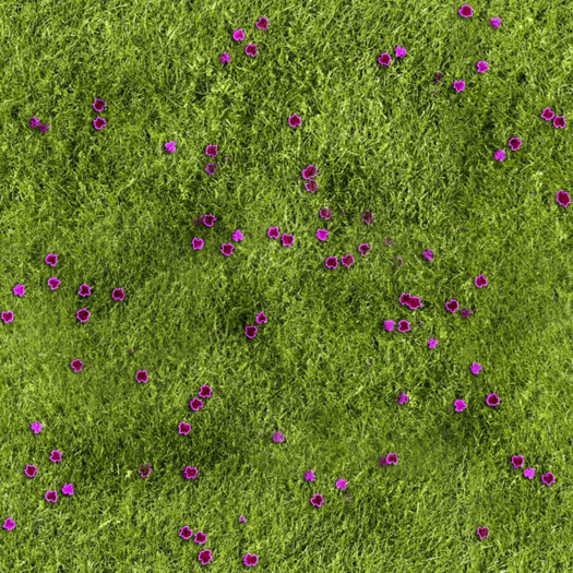 Texture - Grass 03