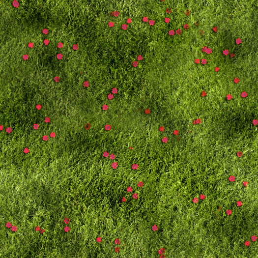 Texture - Grass 05