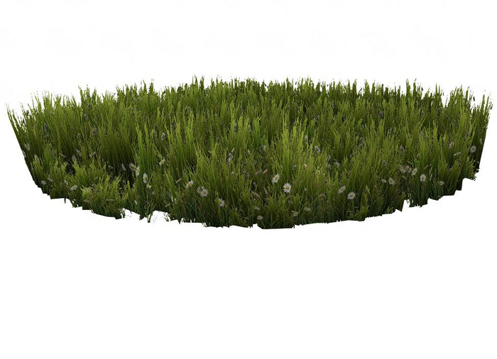 Mesh Grass with white Flowers
