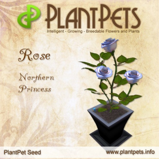 PlantPet Seed [Rose *Northern Princess*]