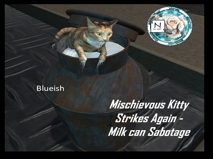 Mischievious Kity Strikes Again - Milk Jug Cyber