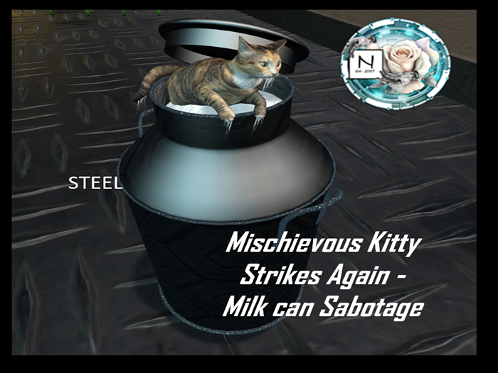 Mischievious Kity Strikes Again - Milk Jug Metal