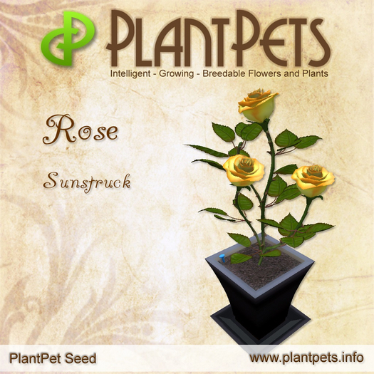 PlantPet Seed [Rose *Sunstruck*]