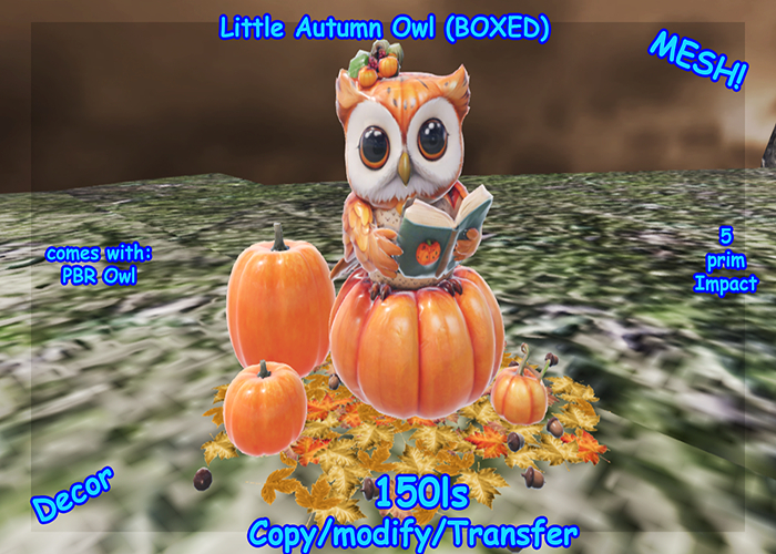 Little Autumn Owl (BOXED)