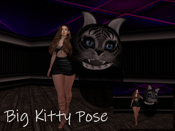 Big Kitty Hold