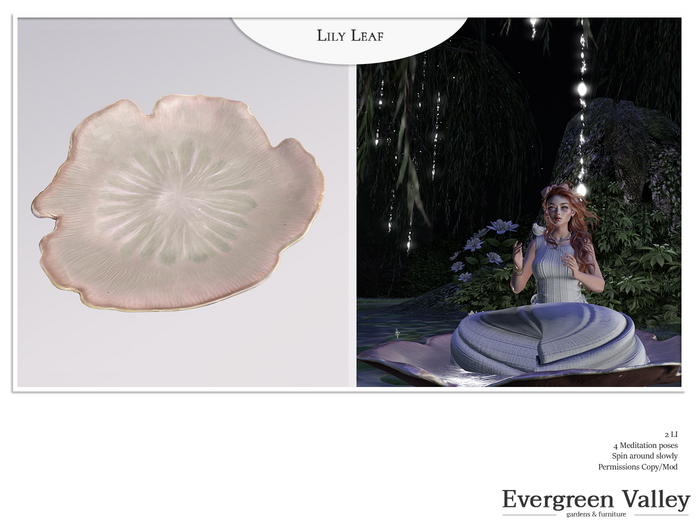 Water Lily Poses