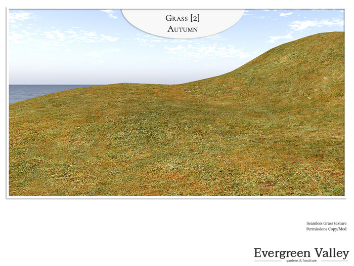 Grass [2] Autumn - Seamless Texture